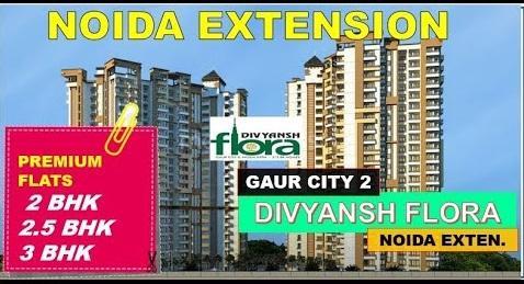 Divyansh Flora -